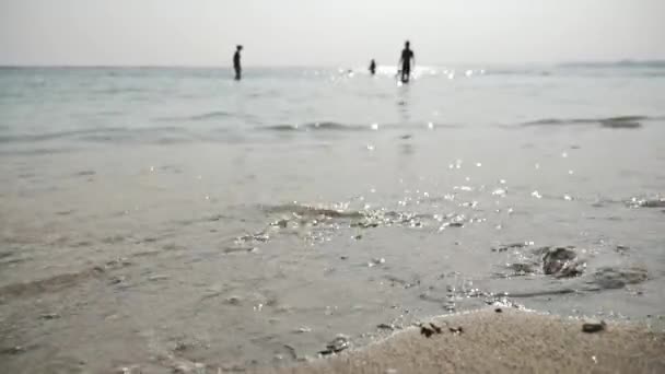 Grupp människor gå snorkling — Stockvideo