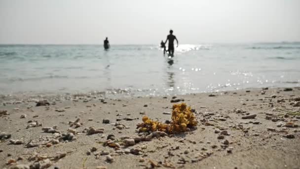 Gruppo di persone che fanno snorkeling — Video Stock