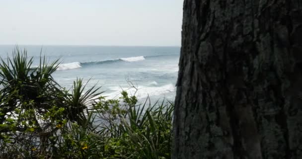 Okyanus Manzaralı Tapınağı Bali yakınındaki — Stok video