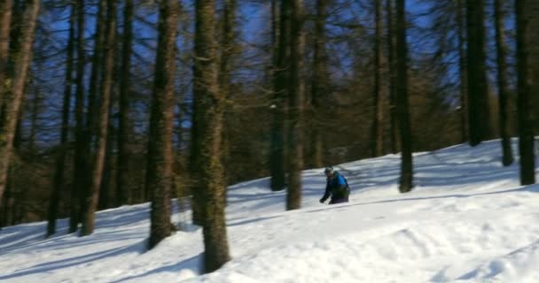 Skifahrer fährt den Berg hinunter — Stockvideo