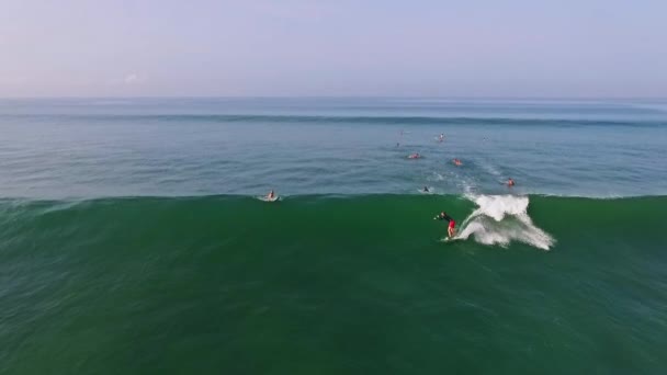 Bir dalga anteni olarak sörfçünün — Stok video