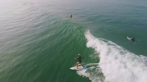 Aerial of girl surfing a wave — Stock Video