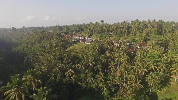 Luchtfoto beelden van een rijstvelden op Bali — Stockvideo