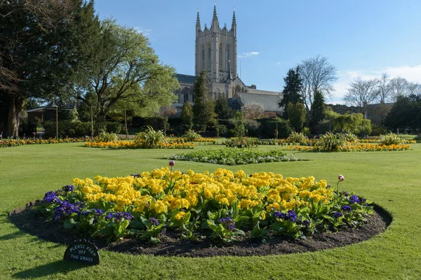 St Edmundsbury Cathedral met bloementuin — Stockfoto