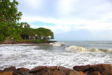 Sahilde dalgalar kayalara çarpıyor.