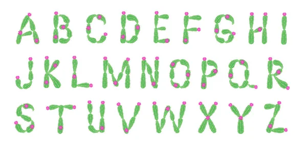 Leuke cactus lettertype en alfabet. Alle letters van a tot z inbegrepen — Stockvector