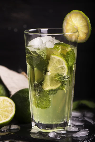 Cóctel Mojito en una copa larga — Foto de Stock