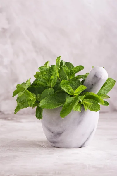 Ramitas de menta en mortero de piedra — Foto de Stock