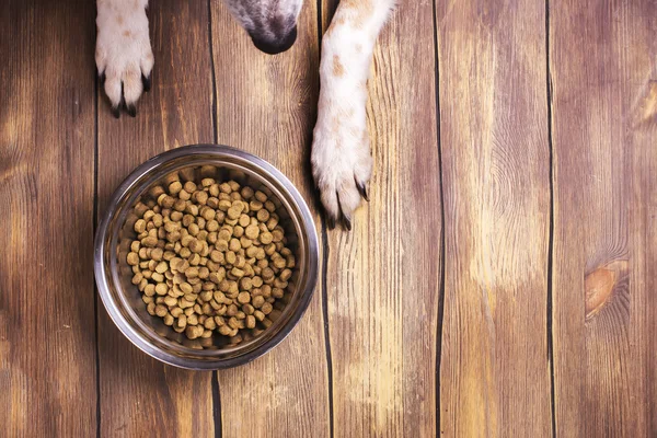 Hond en kom van droge brokken voedsel — Stockfoto