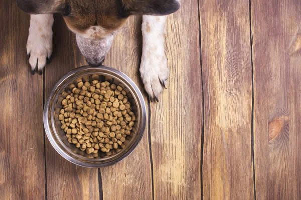 Köpek ve kase kuru köpek maması gıda