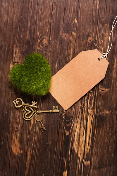 Coração de musgo verde, chaves e etiqueta de papel — Fotografia de Stock
