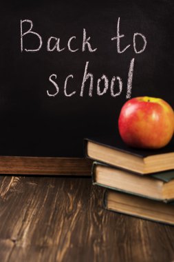 Okul konseptine dönüş