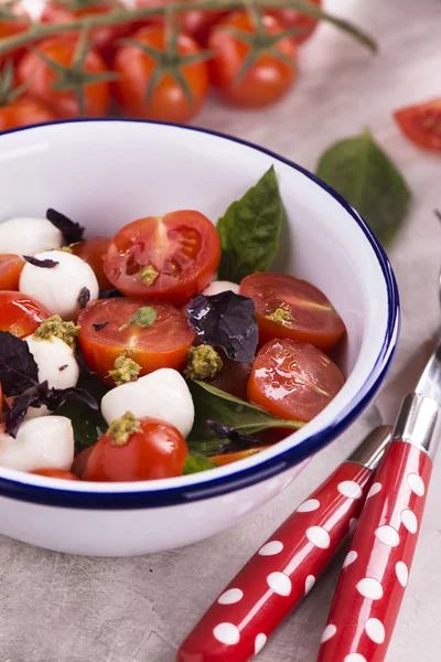 Insalata caprese fresca italiana — Foto Stock