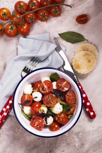 Insalata caprese fresca italiana — Foto Stock