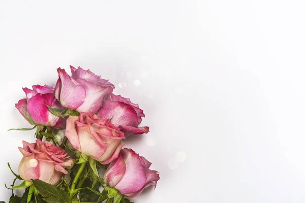 Pink roses background. — Stock Photo, Image