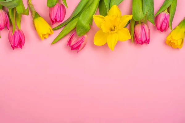Narcisos amarelos e tulipas cor-de-rosa — Fotografia de Stock