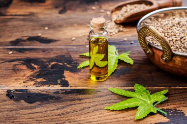 Organik kenevir tohumu ve yağ