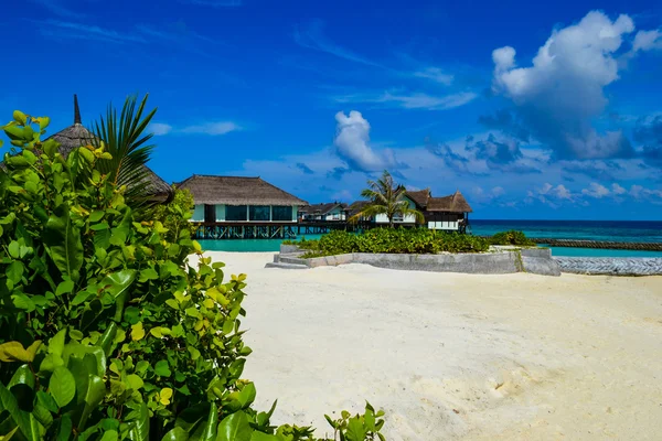 Fotografie z krása Maledivy ostrovy — Stock fotografie