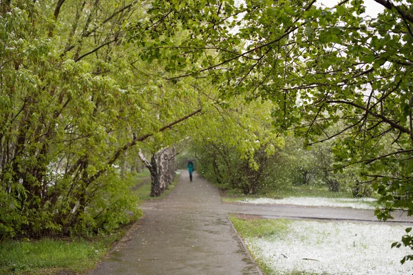 Hava anomaliler. Mayıs ayında kar. Bahar. Kar yağışı.