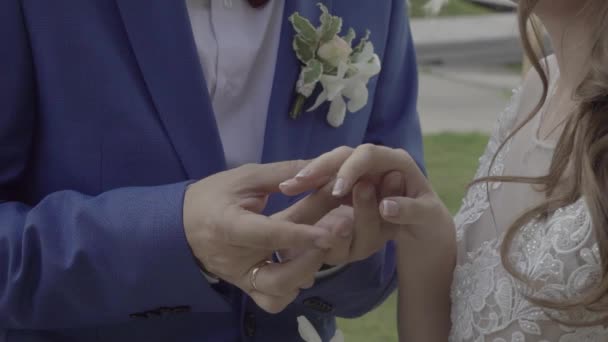 Usan Anillos Boda Una Boda — Vídeos de Stock