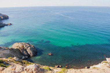 kayalık sahil sealion Üstten Görünüm