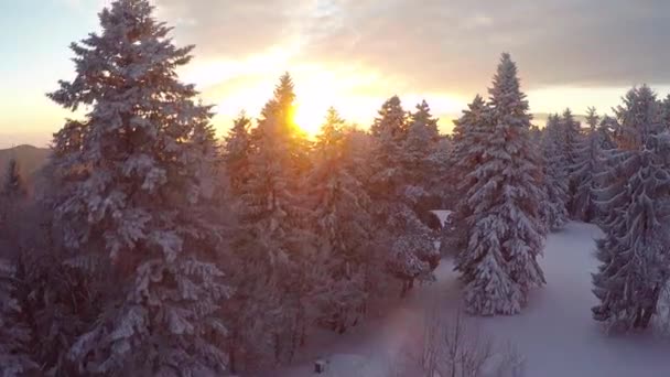 Aerial video of the sunset on the snow covered mountain 3 — Stock Video