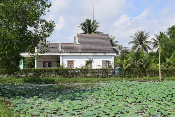 Campo de loto con casa — Foto de Stock