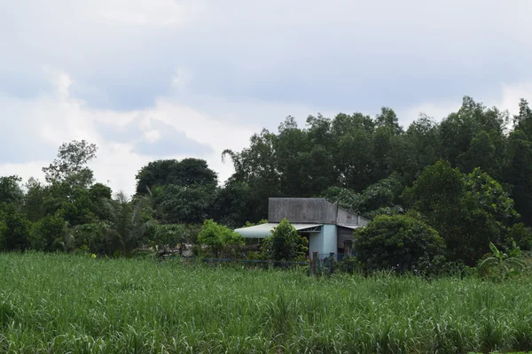 Rural view in Vietnam with house and field — Stock Photo, Image