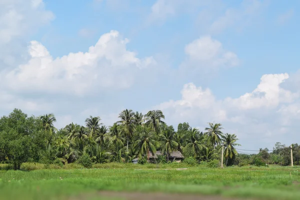 Vista rural en Vietnam con casa y campo — Foto de Stock