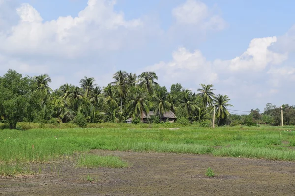 Rural view in Vietnam with house and field — Stock Photo, Image