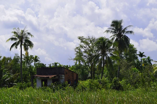 Vista rural en Vietnam con casa y campo —  Fotos de Stock