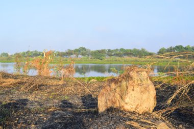 bazı taşlar ve çim bankada kayalık Gölü