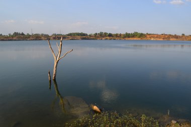 taş ve ölü ağaç kayalık Gölü 