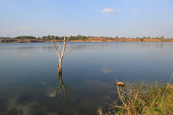 Lago rochoso com pedra e árvore morta — Fotografia de Stock