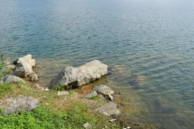 bazı taşlar ve çim bankada kayalık Gölü