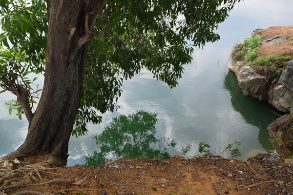 Kırmızı bazalt toprak ve gövde ile kayalık gölü — Stok fotoğraf