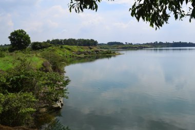 bazı taşlar ve çim bankada kayalık Gölü