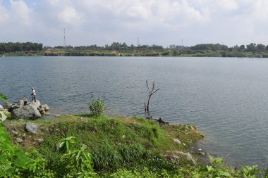 bazı taşlar ve çim bankada kayalık Gölü