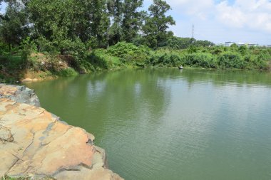 bazı taşlar ve çim bankada kayalık Gölü