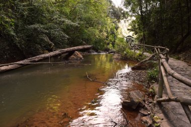 tropikal datanla şelale dalat, vietnam ormanında