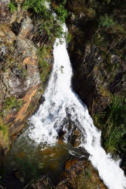 tropikal datanla şelale dalat, vietnam ormanında