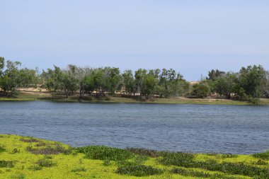 taze lake beyaz kum tepeleri MUI Ne, Phan Thiet, vietnam