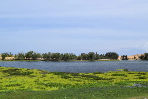 Friss tó a fehér homokos dűnékhez Phan Thiet, Mui Ne, vietnam — Stock Fotó