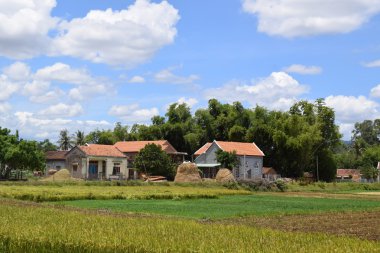 Vietnam kırsalında kırsal köy