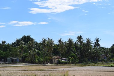 Vietnam kırsalında kırsal köy