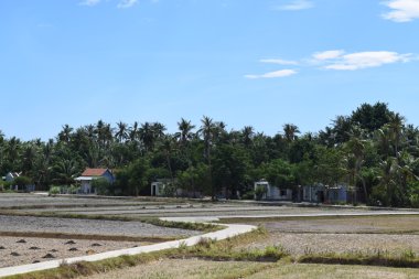 Vietnam kırsalında kırsal köy