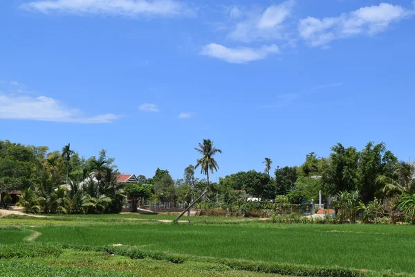 Aldea rural en Vietnam campo — Foto de Stock