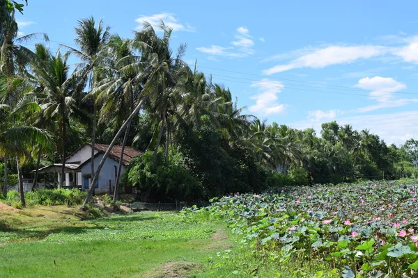 Landelijk dorp in Vietnam platteland — Stockfoto
