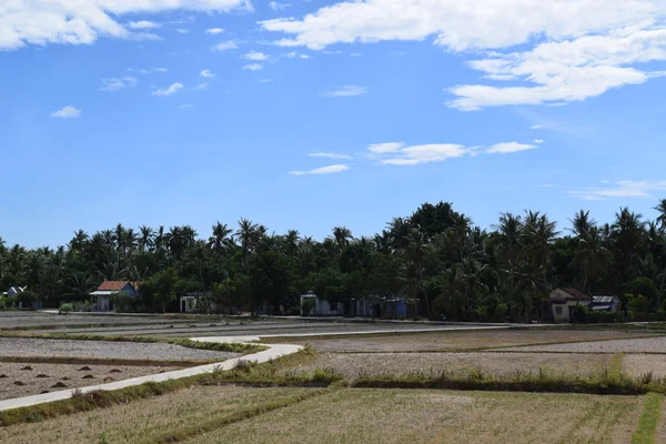 Aldea rural en Vietnam campo — Foto de Stock