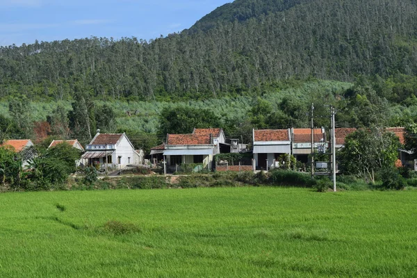 Sawa in landelijk dorp in Vietnam platteland — Stockfoto